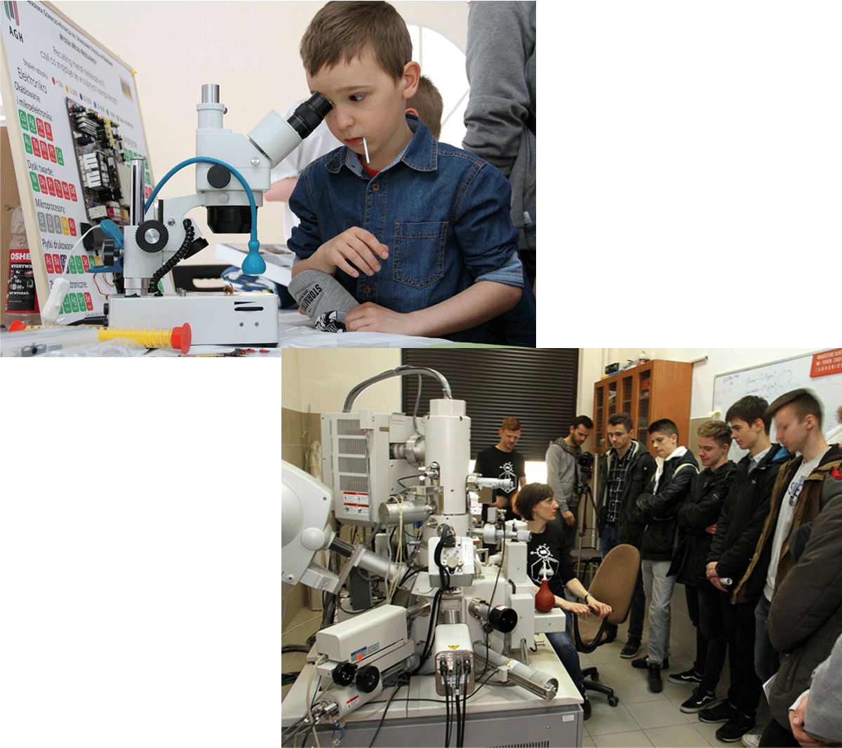 O wydziale relative background